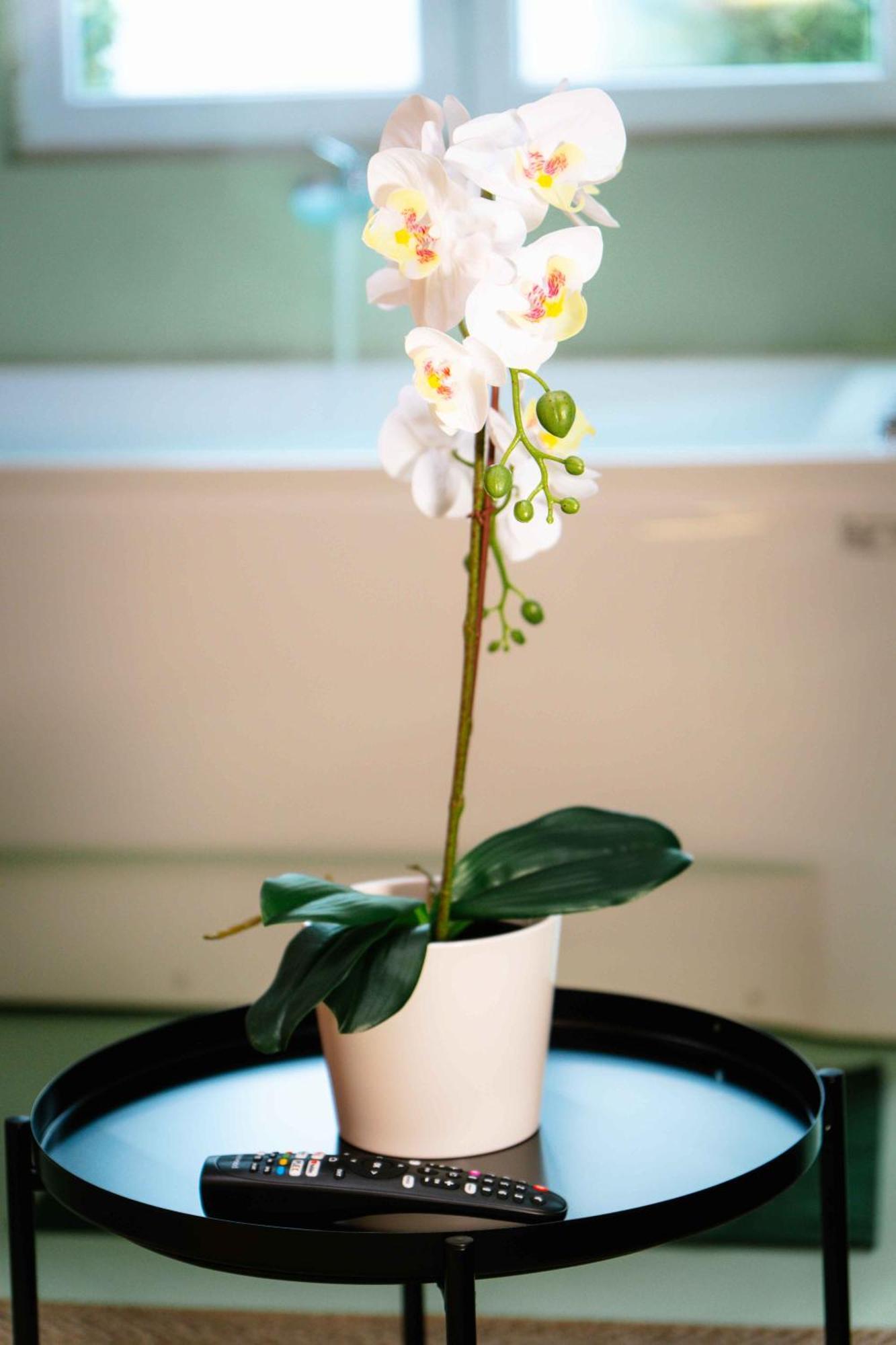 Capsule Flower - Balneo - Cinema - Billard - Nintendo Switch - Mons Centre エクステリア 写真